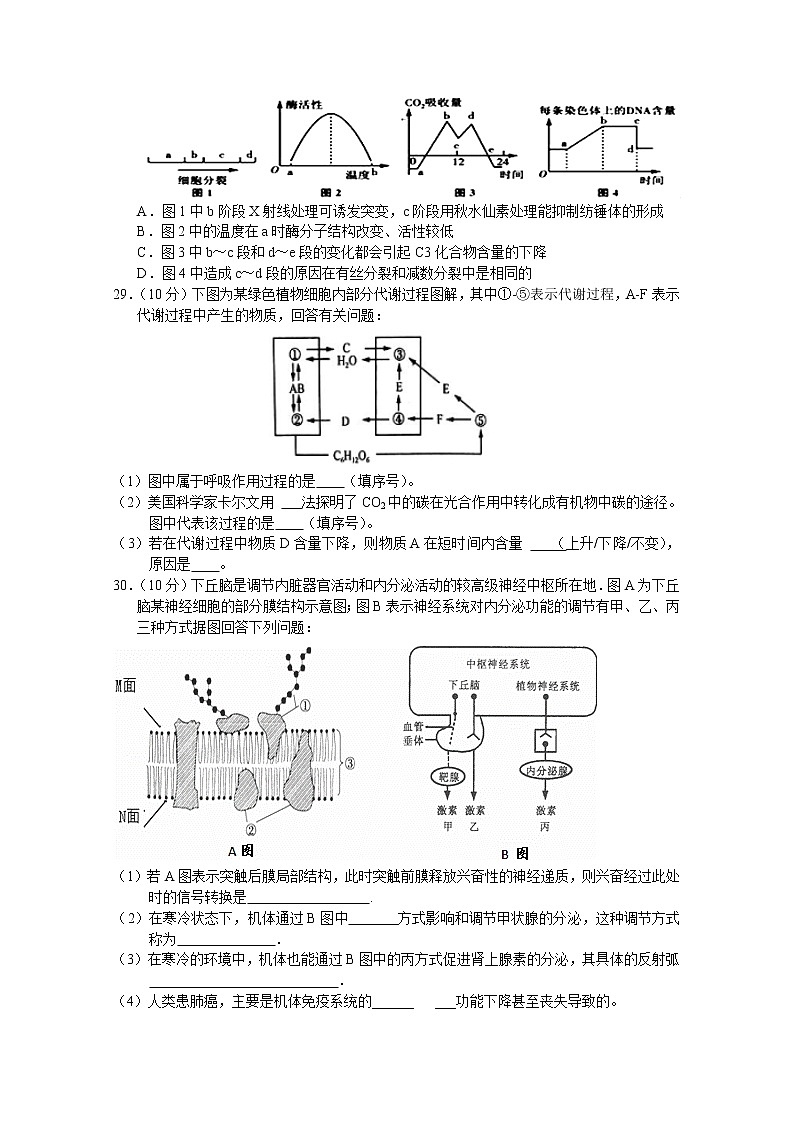 湖北省钟祥市高级中学2020届高三下学期第九次竞赛理科综合生物试题02