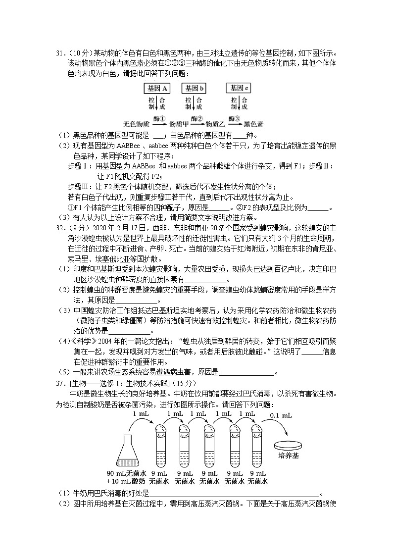 湖北省钟祥市高级中学2020届高三下学期第九次竞赛理科综合生物试题03