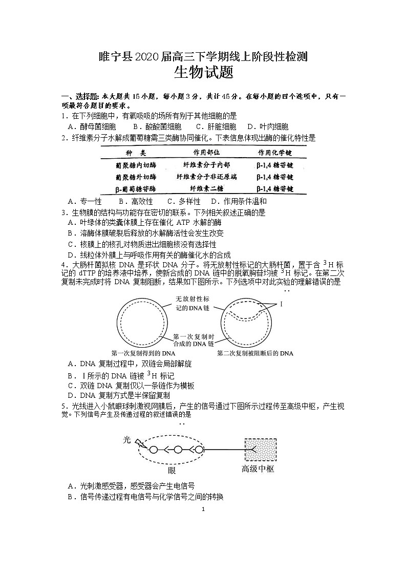 江苏省徐州市睢宁县2020届高三下学期线上阶段性检测生物试题01