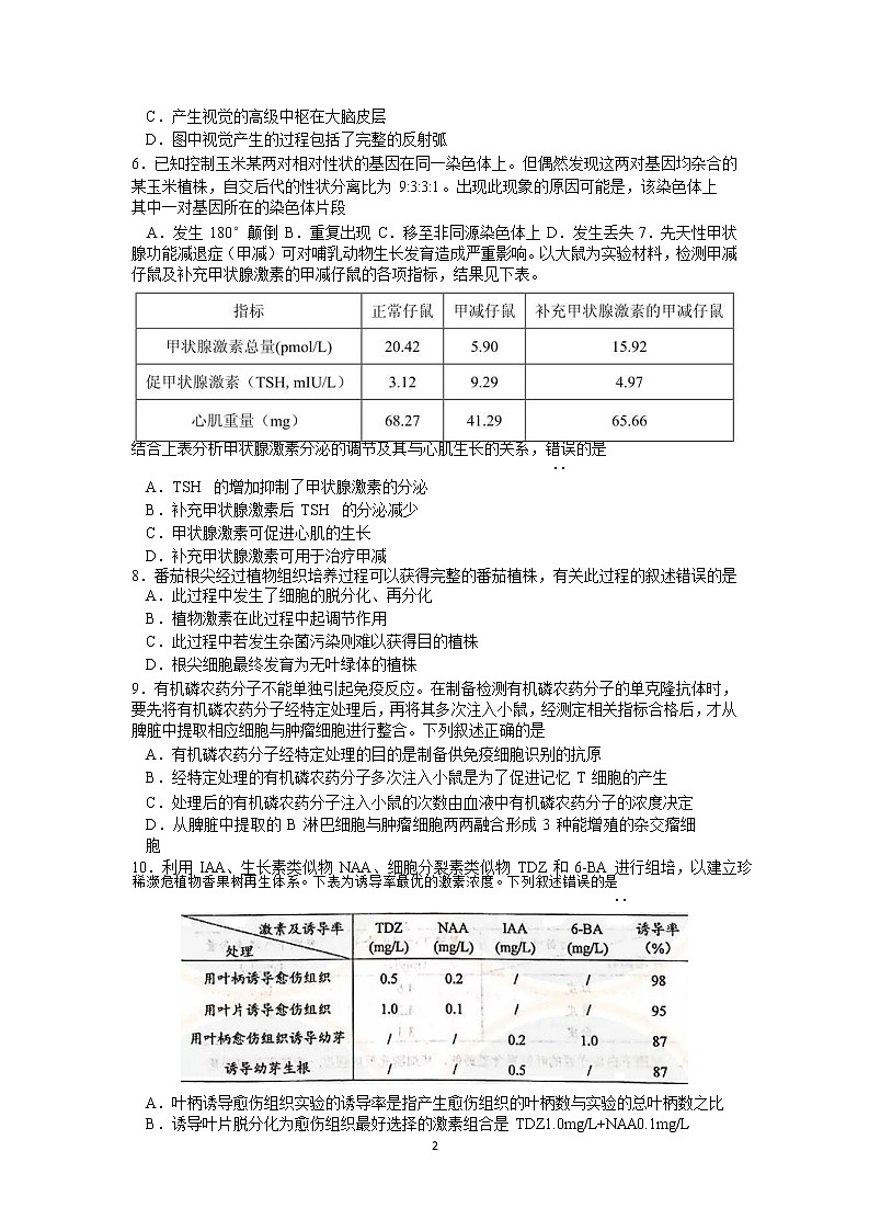 江苏省徐州市睢宁县2020届高三下学期线上阶段性检测生物试题02