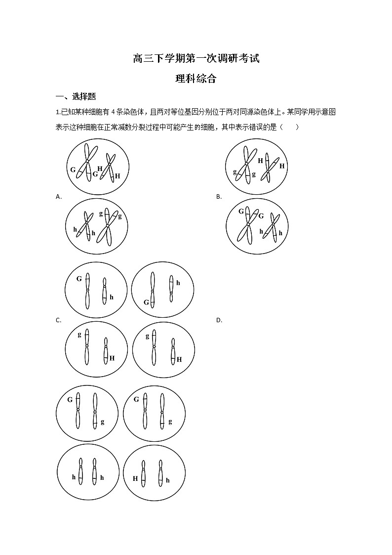内蒙古鄂尔多斯市一中2020届高三下学期第一次调研生物试题01