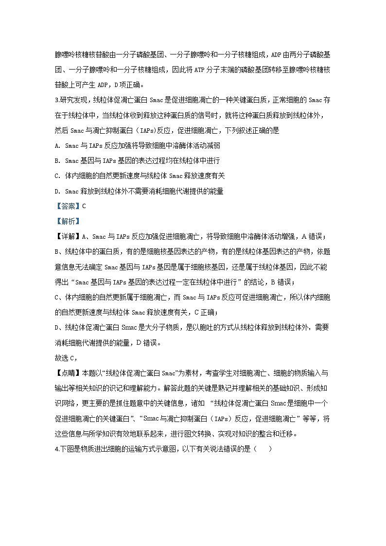 山东省东营市一中2020届高三下学期第三次质量检测生物试题02