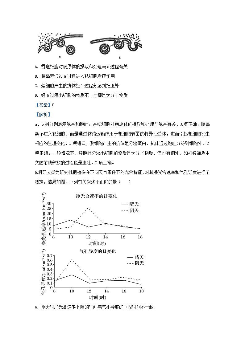 山东省东营市一中2020届高三下学期第三次质量检测生物试题03