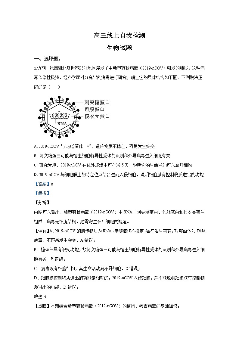 山东省济宁市2020届高三下学期线上自我检测生物试题01