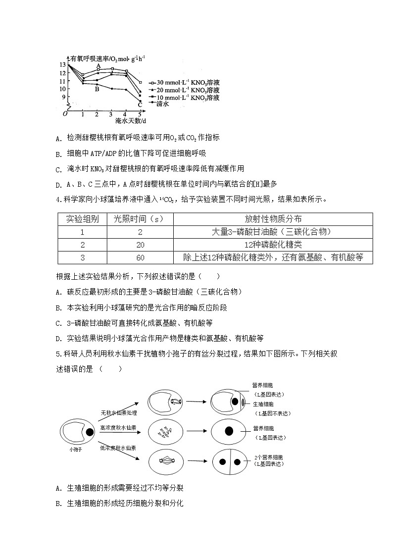 山东省济宁市第一中学2020届高三下学期二轮质量检测生物试题02