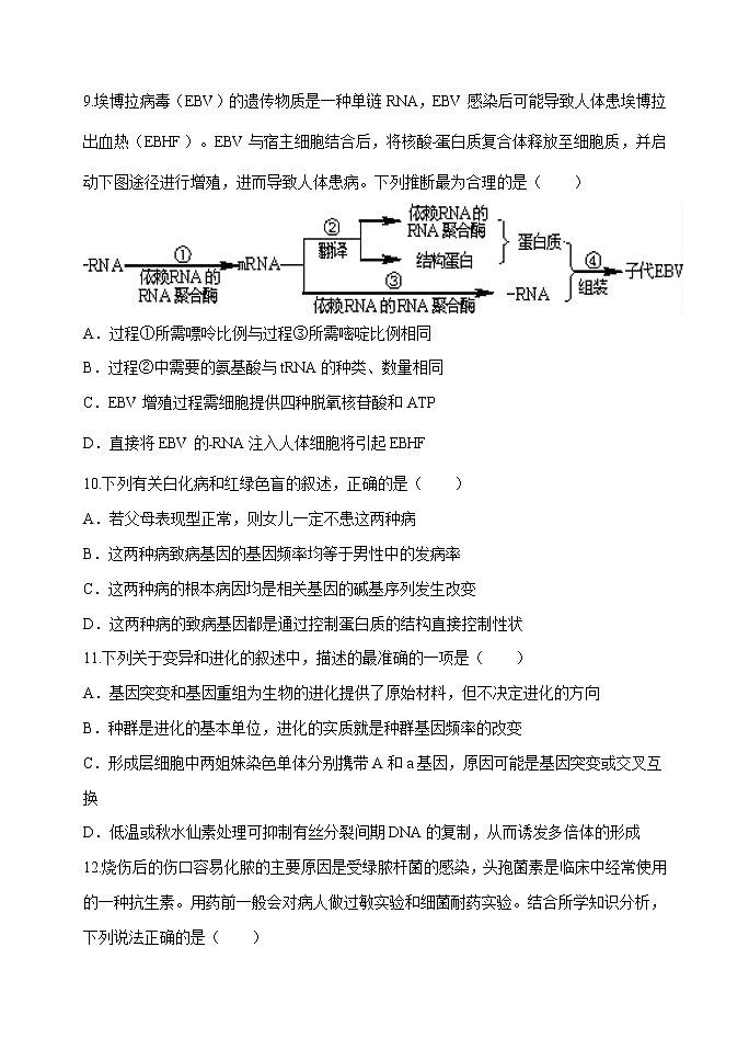 山东省平邑一中2020届高三下学期第五次调研考试生物试题03