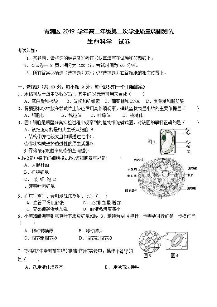 上海市青浦区2020届高三下学期学业质量调研生物试题01