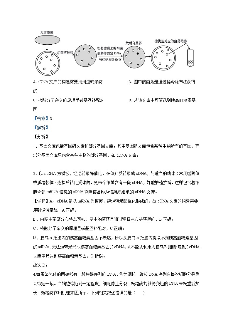 天津市和平区2020届高三下学期线上评估测试生物试题03