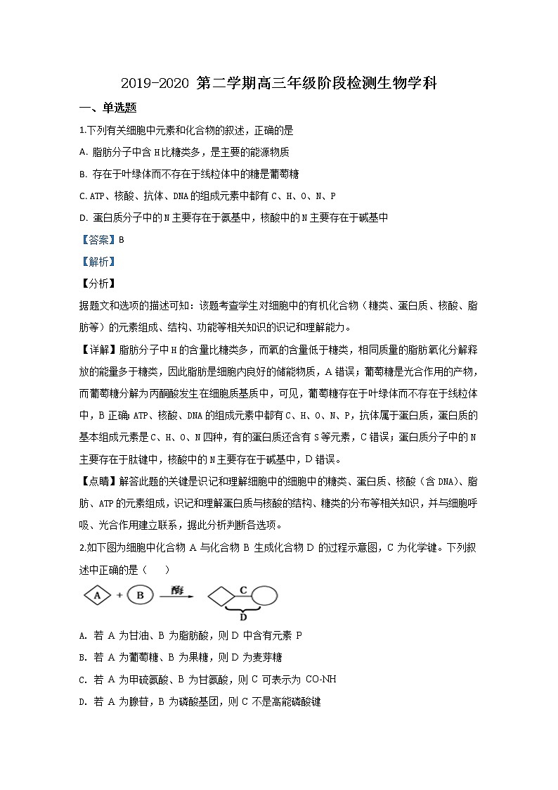 天津市南开区43中2020届高三下学期阶段检测生物试题01