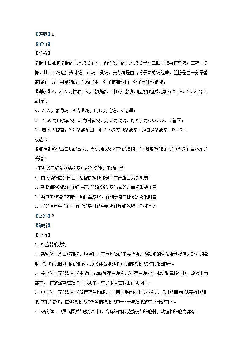天津市南开区43中2020届高三下学期阶段检测生物试题02