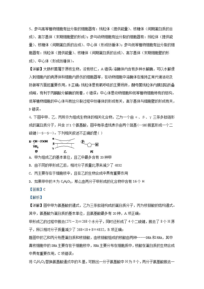 天津市南开区43中2020届高三下学期阶段检测生物试题03