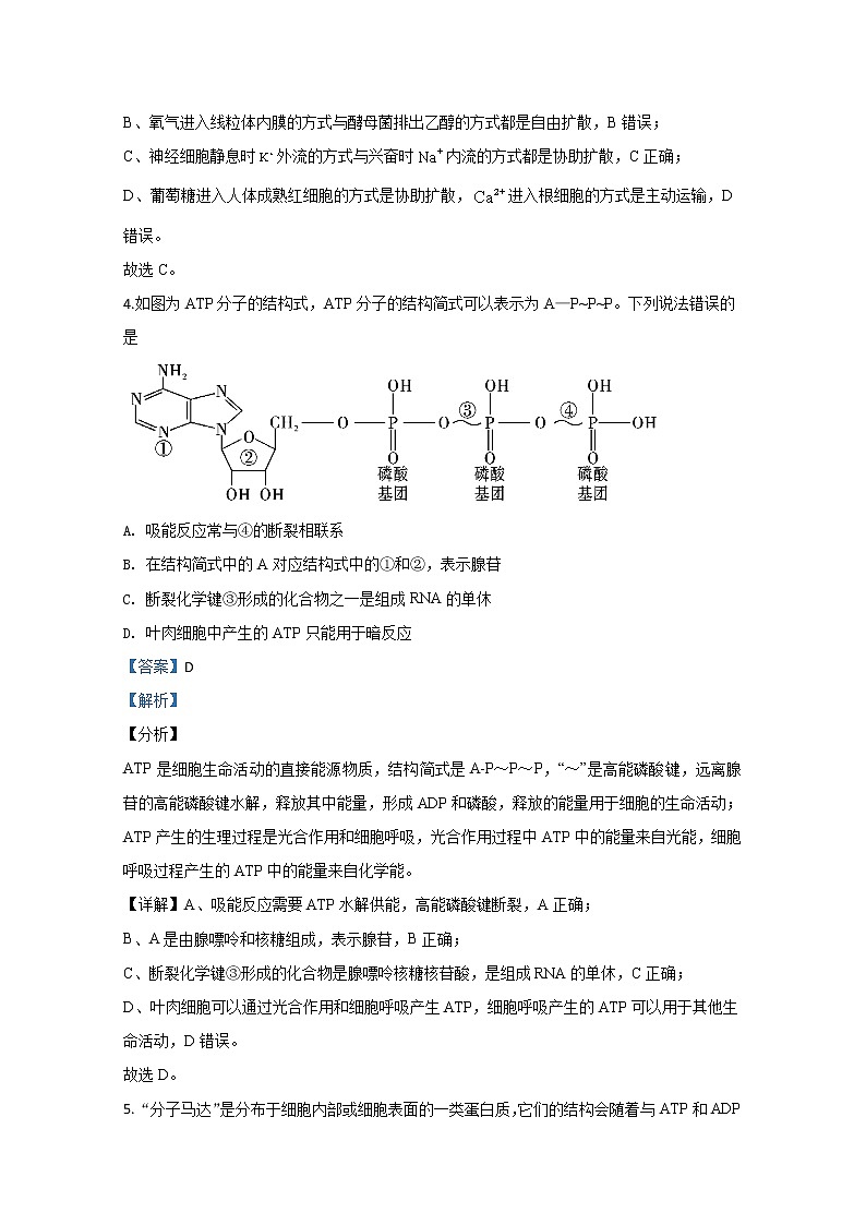 天津市武清区天和城实验中学2020届高三下学期第一次形成性测试生物试题03