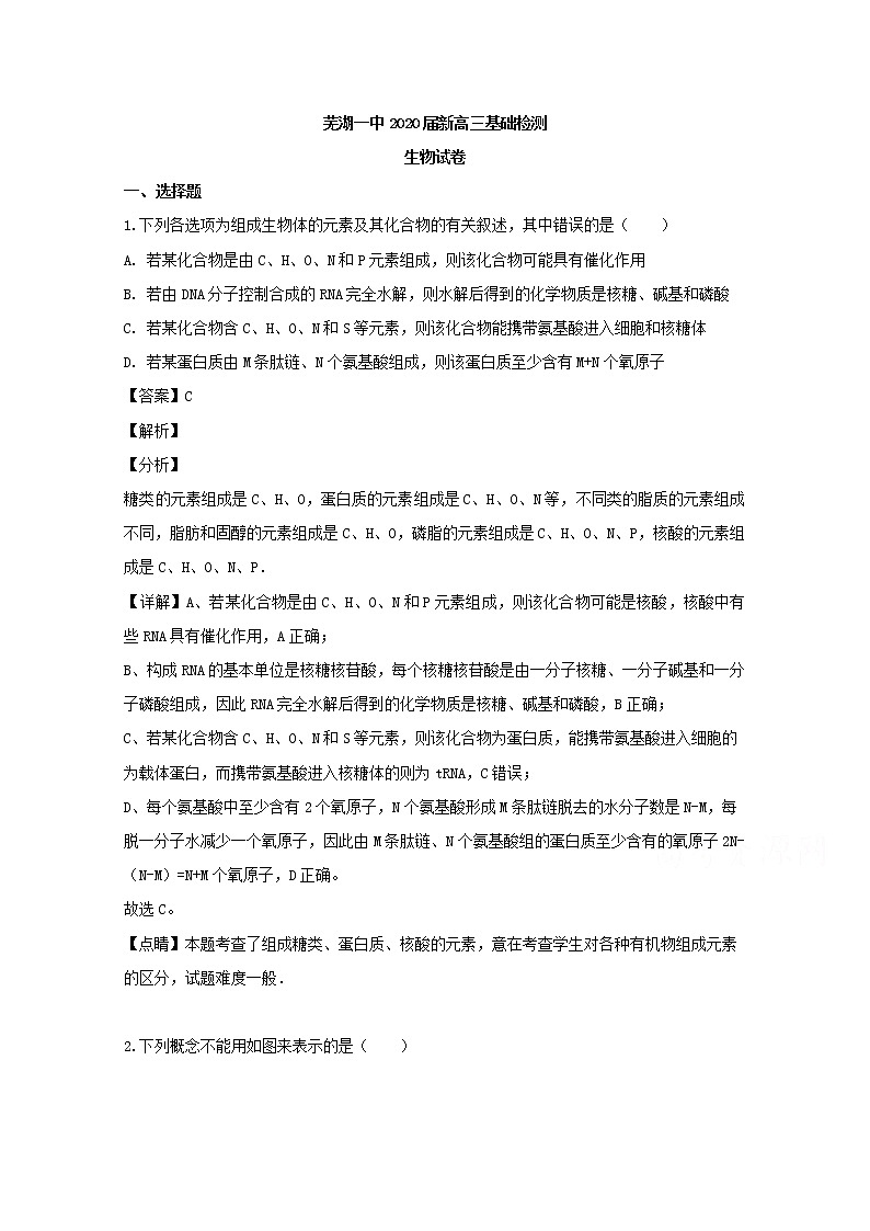 安徽省芜湖市一中2020届高三上学期基础检测生物试题01
