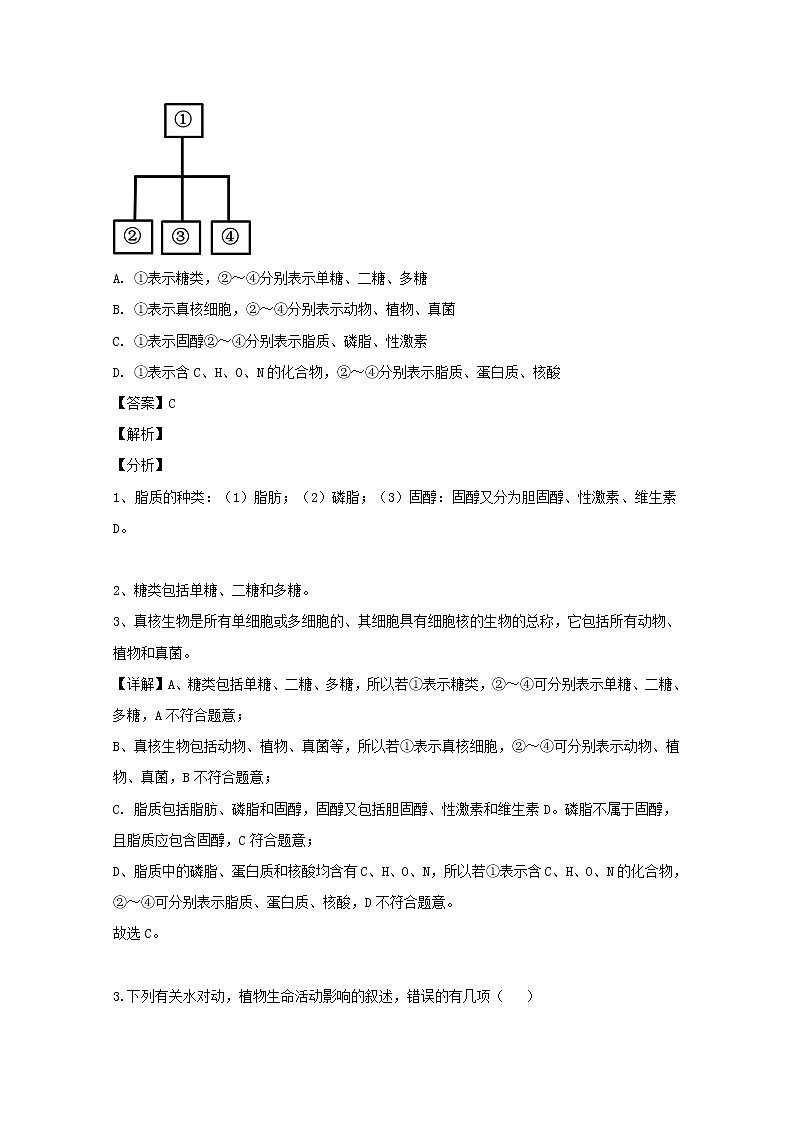 安徽省芜湖市一中2020届高三上学期基础检测生物试题02