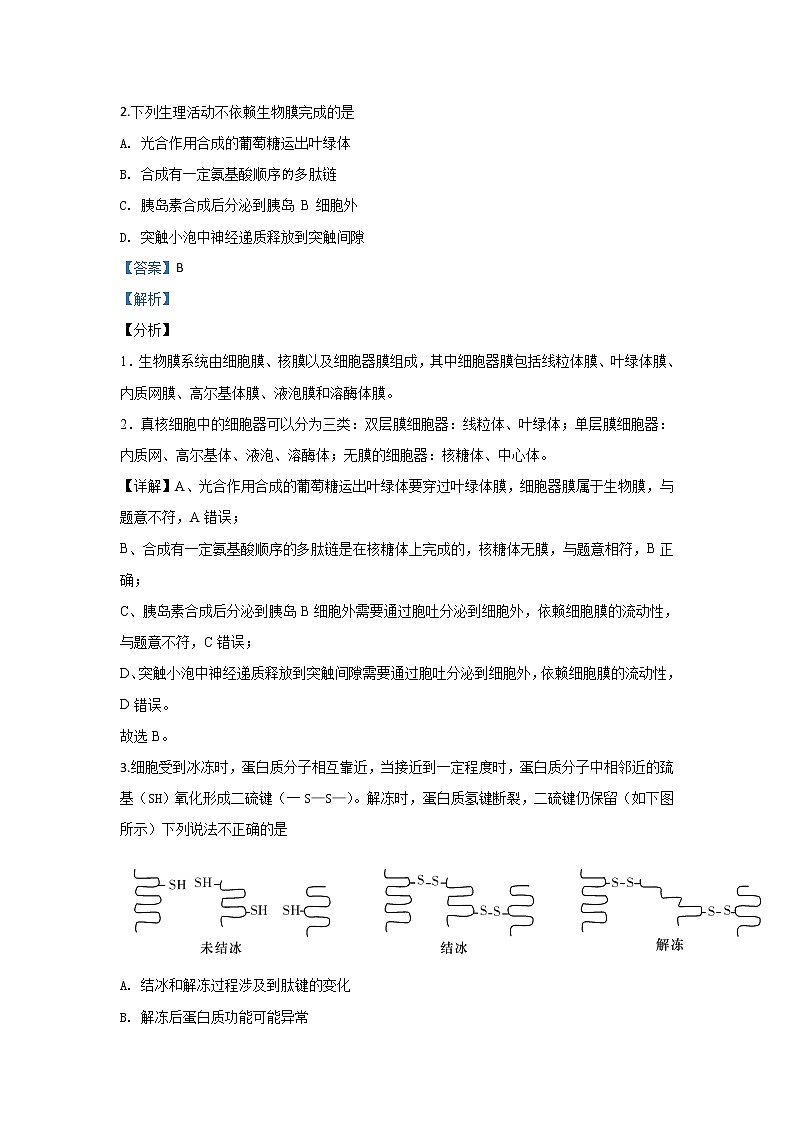 北京市海淀区人大附中2020届高三上学期摸底前练习（二）生物试题02
