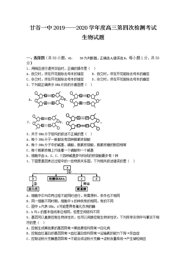 甘肃省甘谷第一中学2020届高三上学期第四次检测考试生物试题第1页