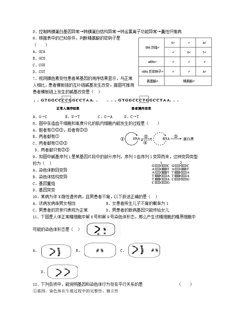 甘肃省甘谷第一中学2020届高三上学期第四次检测考试生物试题第2页