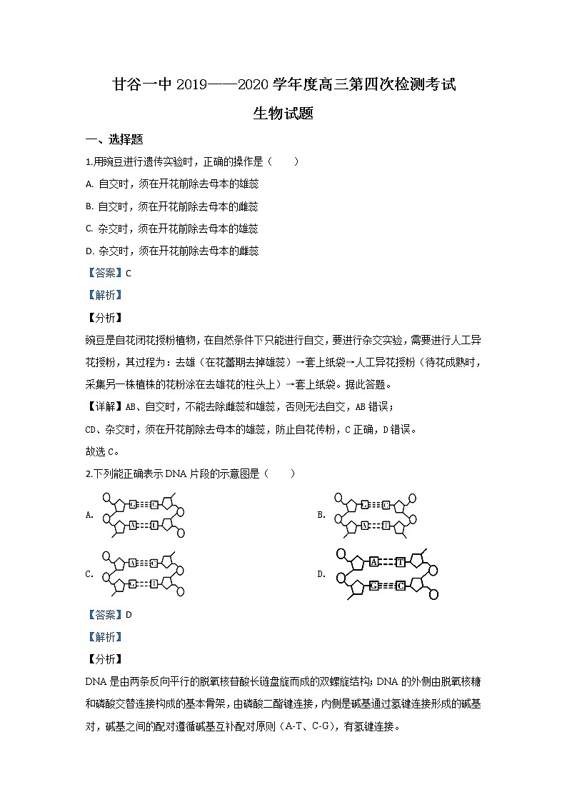 甘肃省天水市甘谷一中2020届高三上学期第四次检测生物试题第1页