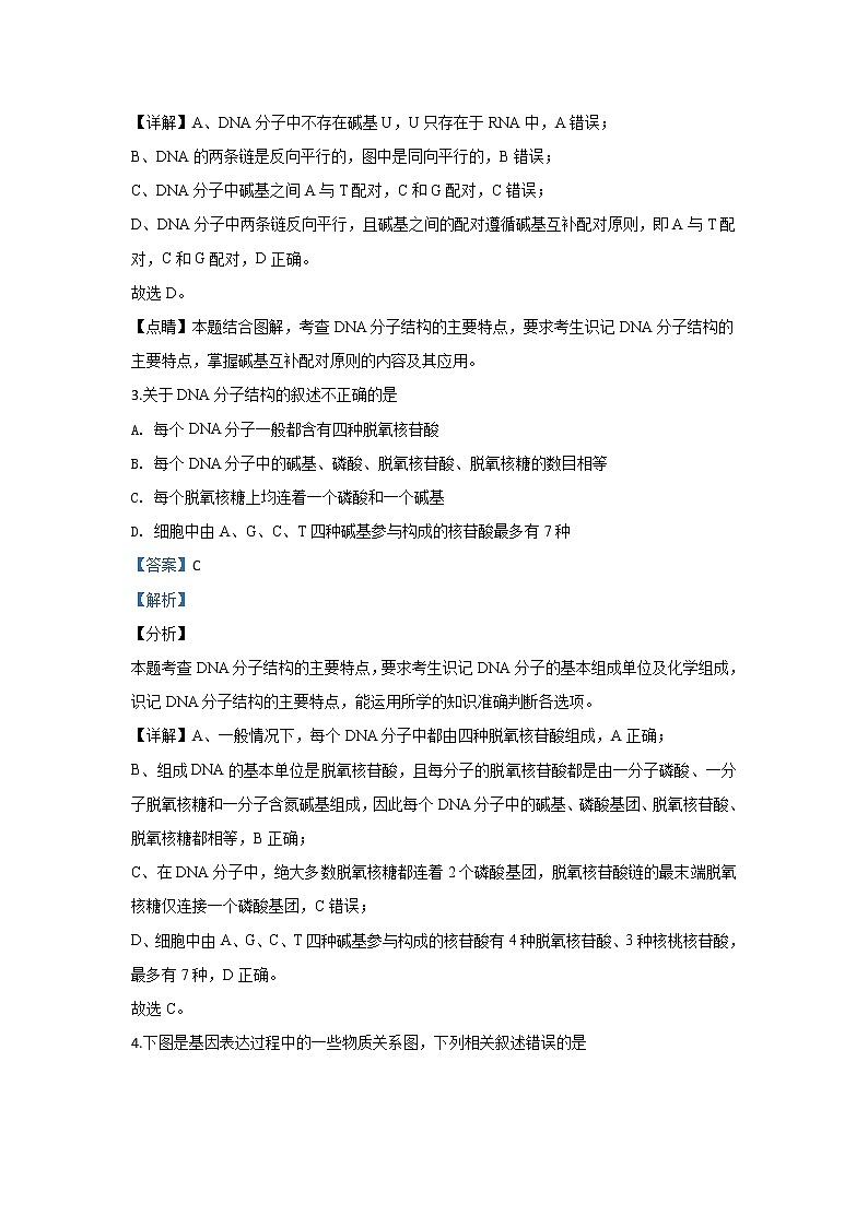 甘肃省天水市甘谷一中2020届高三上学期第四次检测生物试题第2页