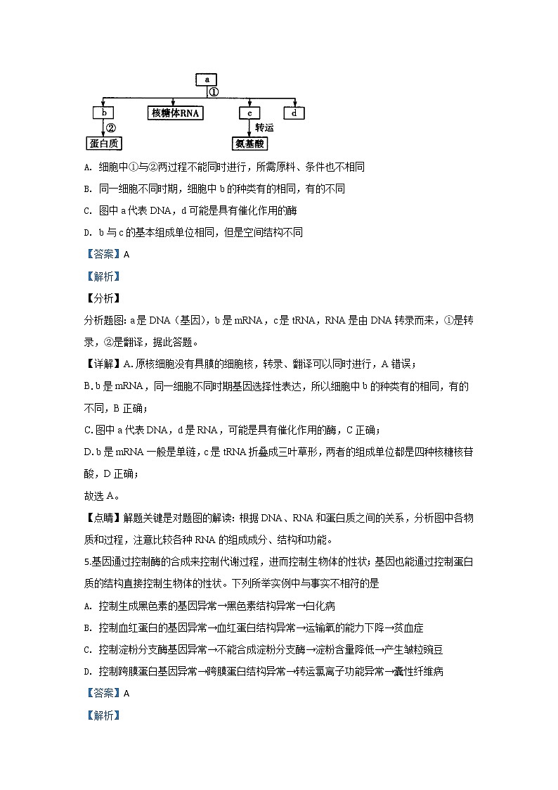 甘肃省天水市甘谷一中2020届高三上学期第四次检测生物试题第3页