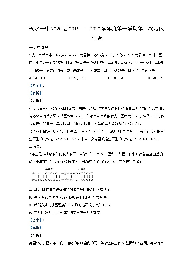 甘肃省天水市一中2020届高三上学期第三阶段考试生物试题01