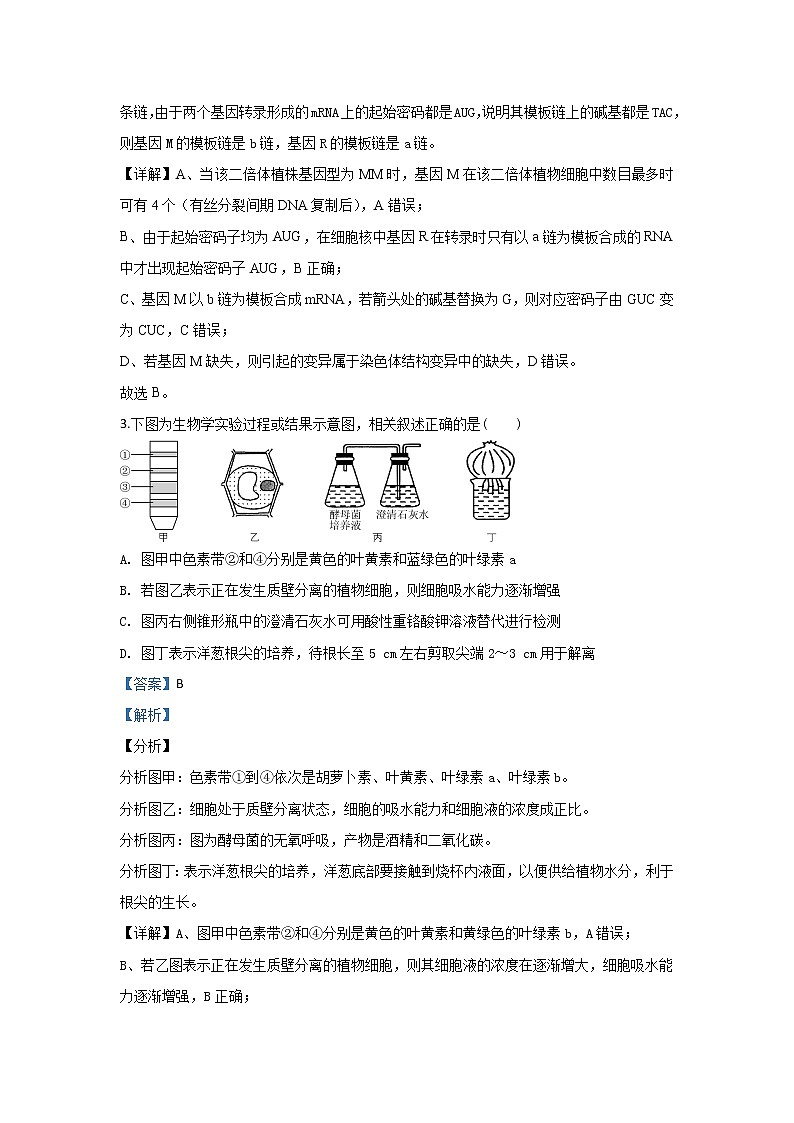 甘肃省天水市一中2020届高三上学期第三阶段考试生物试题02