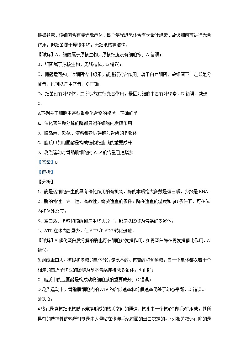 甘肃省武威十八中2020届高三上学期诊断考试生物试题02