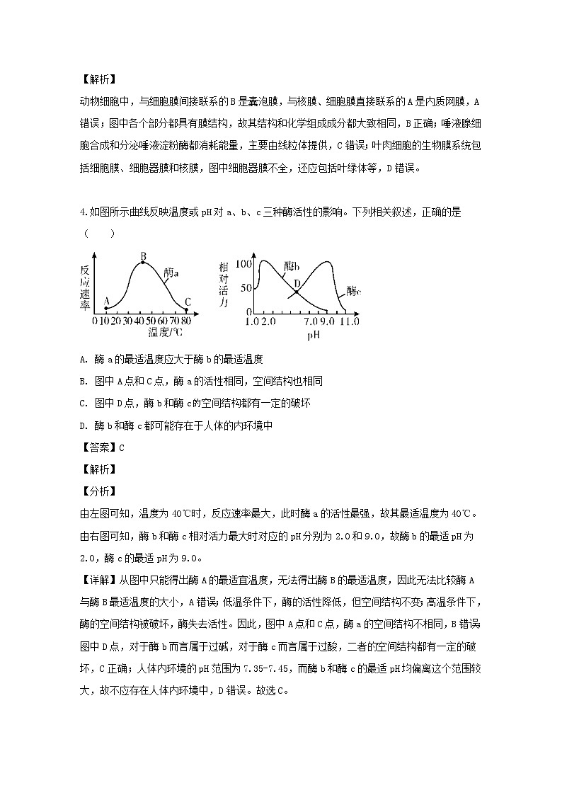 广东省梅州市2020届高三上学期第一次质量检测生物试题第3页