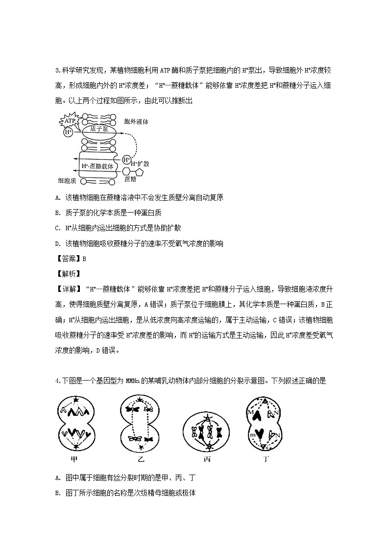 广东省深圳市高级中学2020届高三上学期第一次测试生物试题第3页