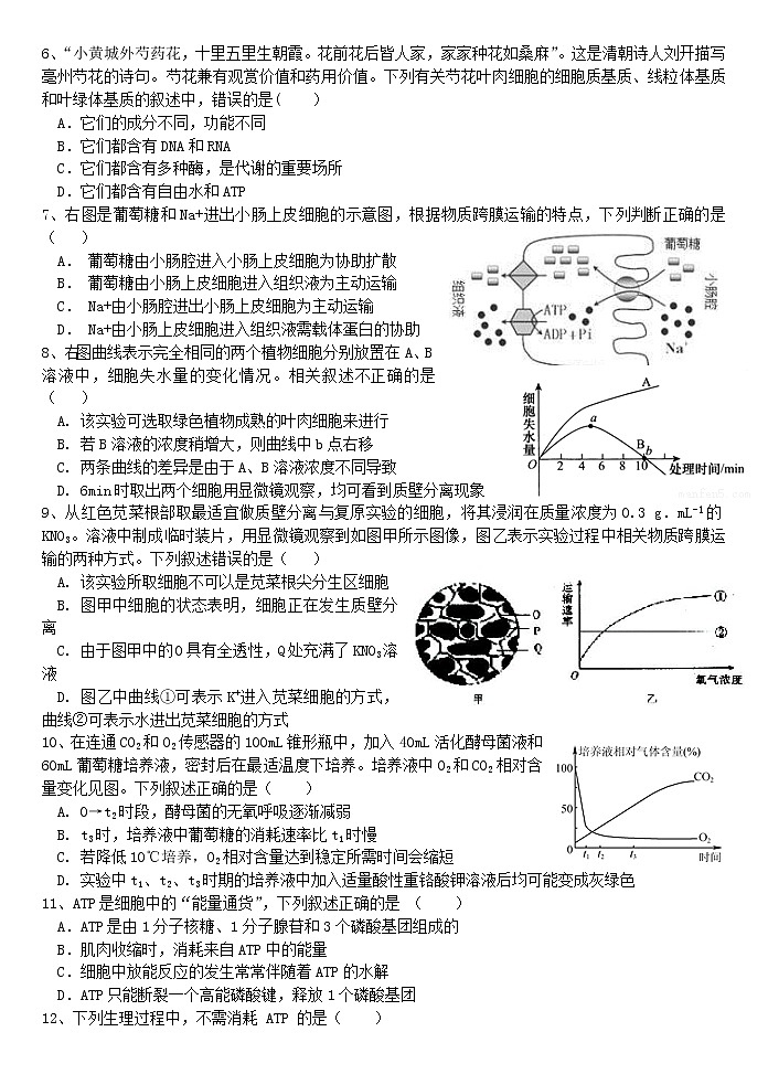 河北省保定一中2020届高三上学期阶段测试生物试卷第2页