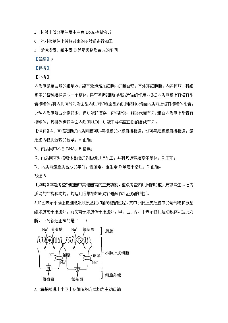 河北省衡水市十三中2020届高三上学期质检生物试题第2页