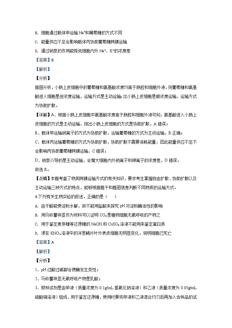 河北省衡水市十三中2020届高三上学期质检生物试题第3页