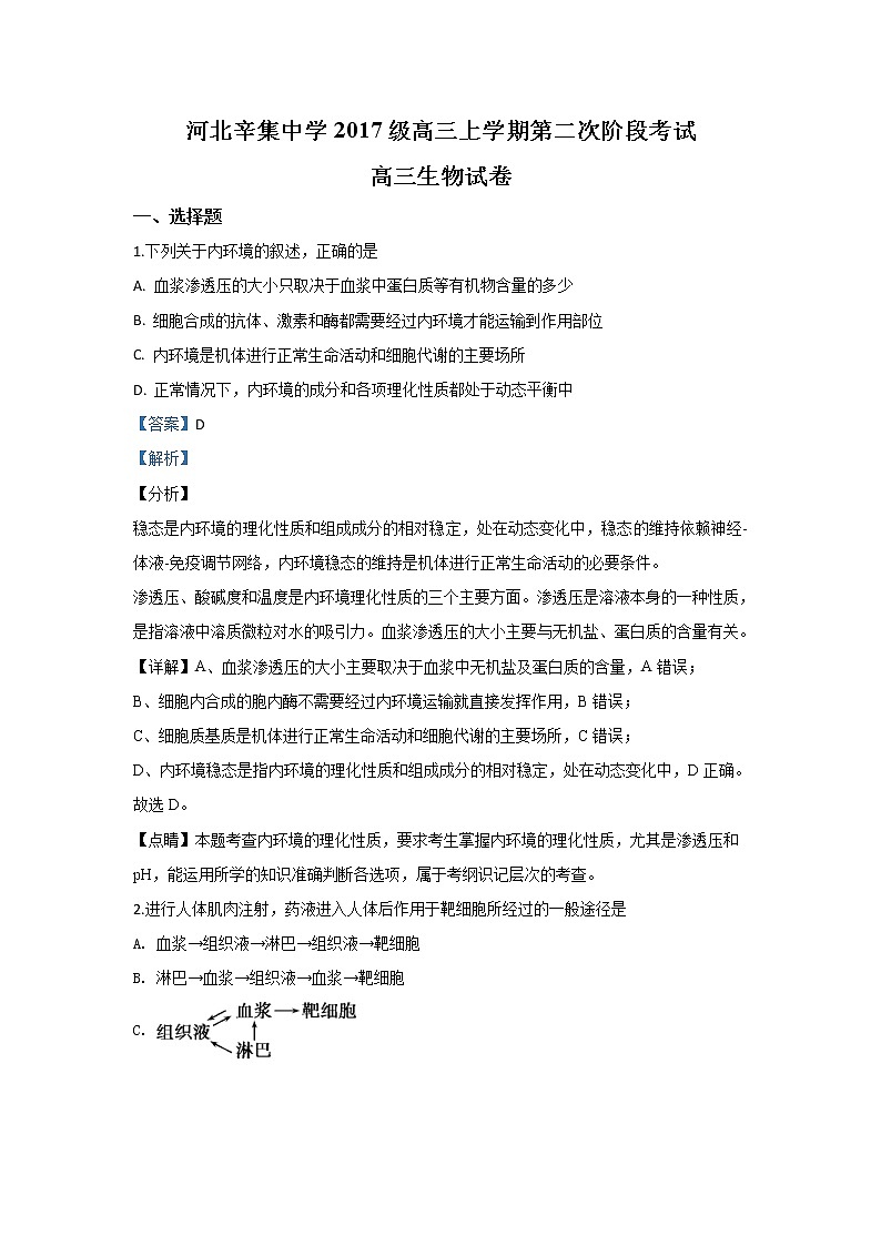 河北省石家庄市辛集中学2020届高三上学期第三次阶段考试生物试题01