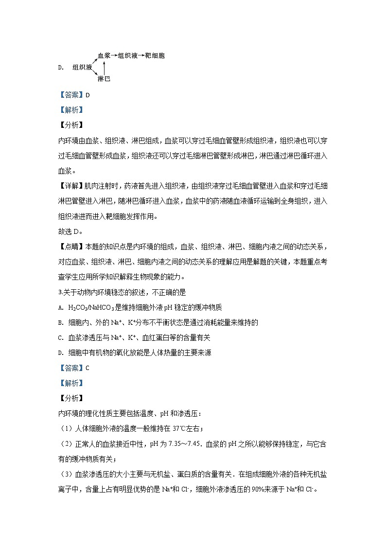 河北省石家庄市辛集中学2020届高三上学期第三次阶段考试生物试题02