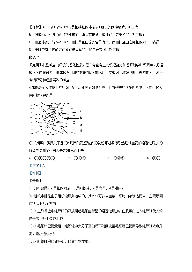 河北省石家庄市辛集中学2020届高三上学期第三次阶段考试生物试题03