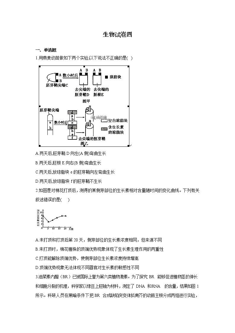 黑龙江省安达七中2020届高三上学期寒假考试（4）生物试卷01