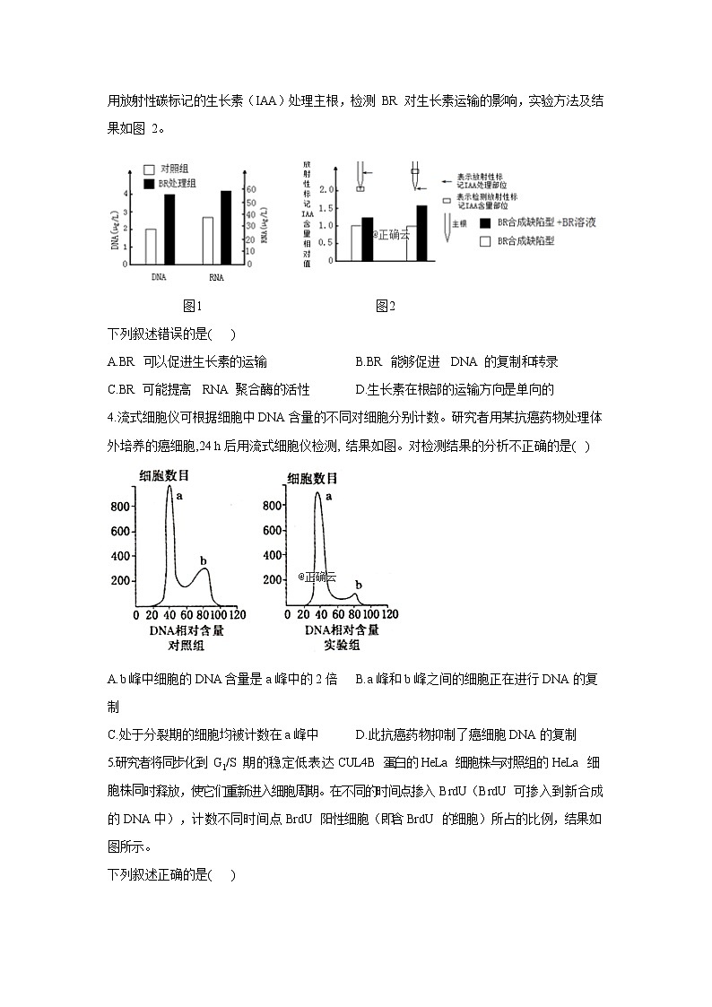 黑龙江省安达七中2020届高三上学期寒假考试（4）生物试卷02