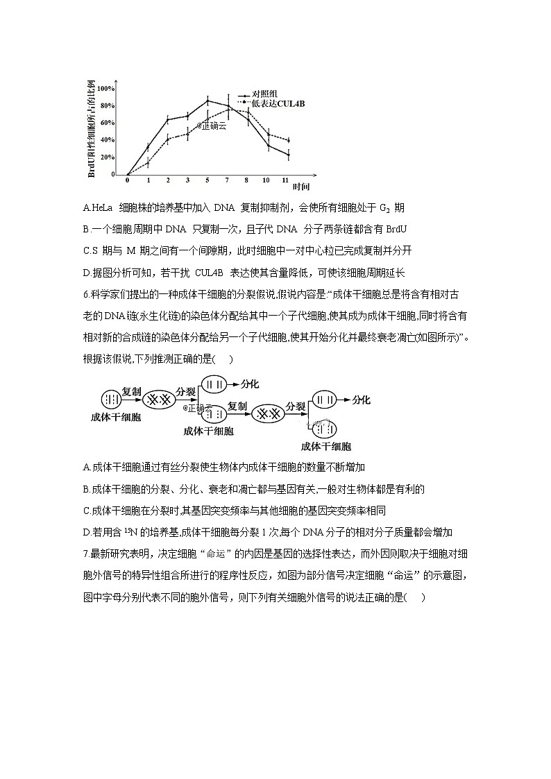 黑龙江省安达七中2020届高三上学期寒假考试（4）生物试卷03