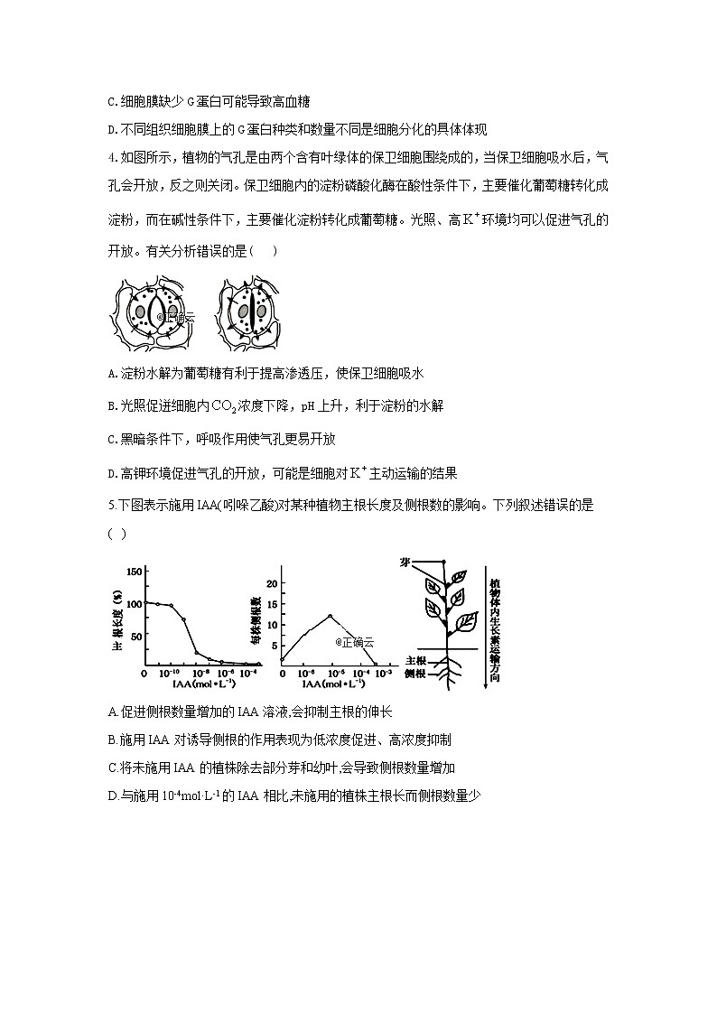黑龙江省安达七中2020届高三上学期寒假考试（6）生物试卷02