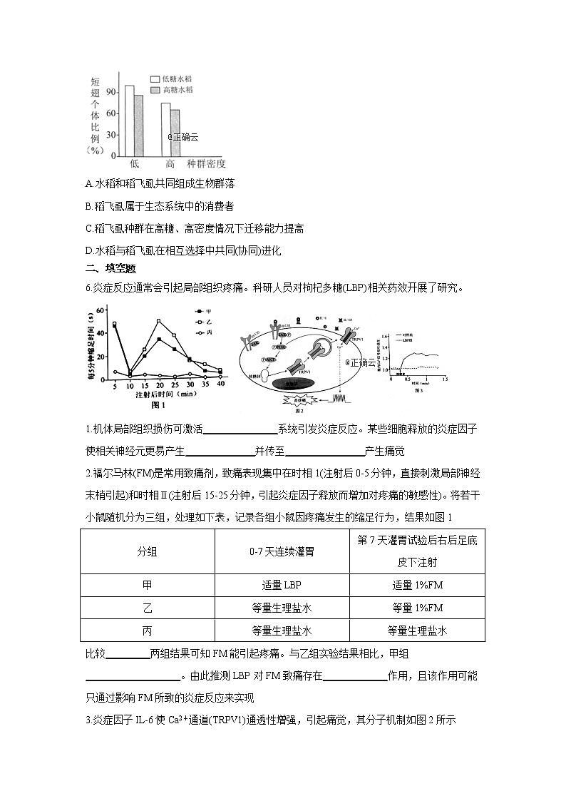 黑龙江省安达市第七中学2020届高三上学期寒假考试（2）生物试卷02