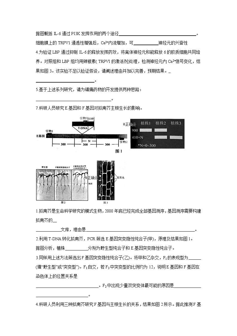黑龙江省安达市第七中学2020届高三上学期寒假考试（2）生物试卷03