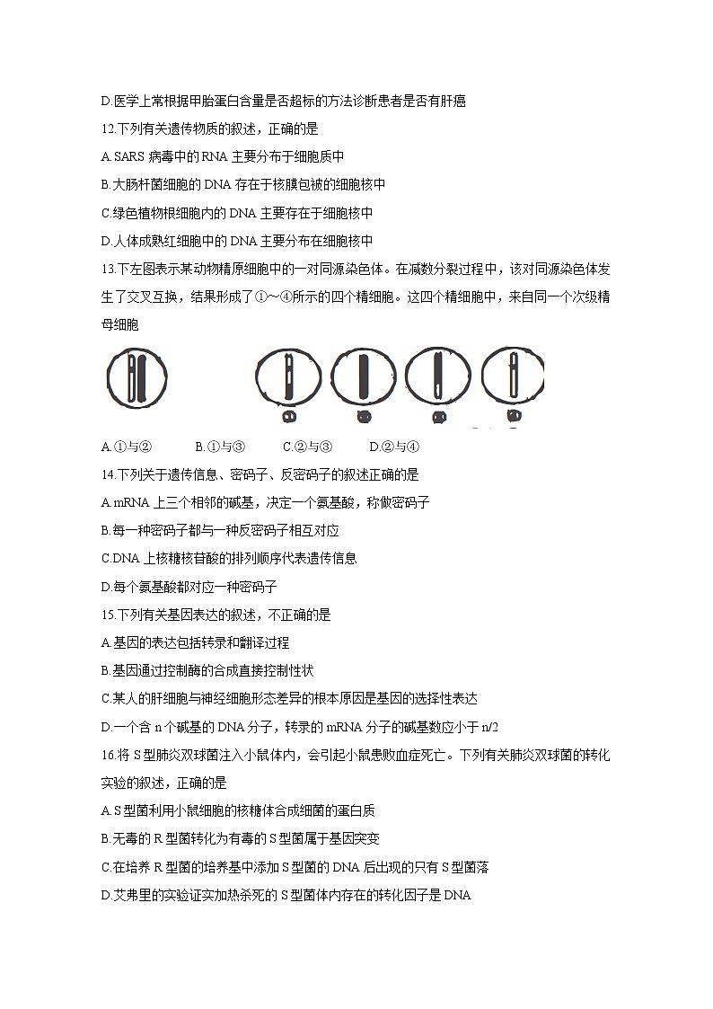 吉林省吉林市普通高中2020届高三上学期毕业班第一次调研测试 生物03