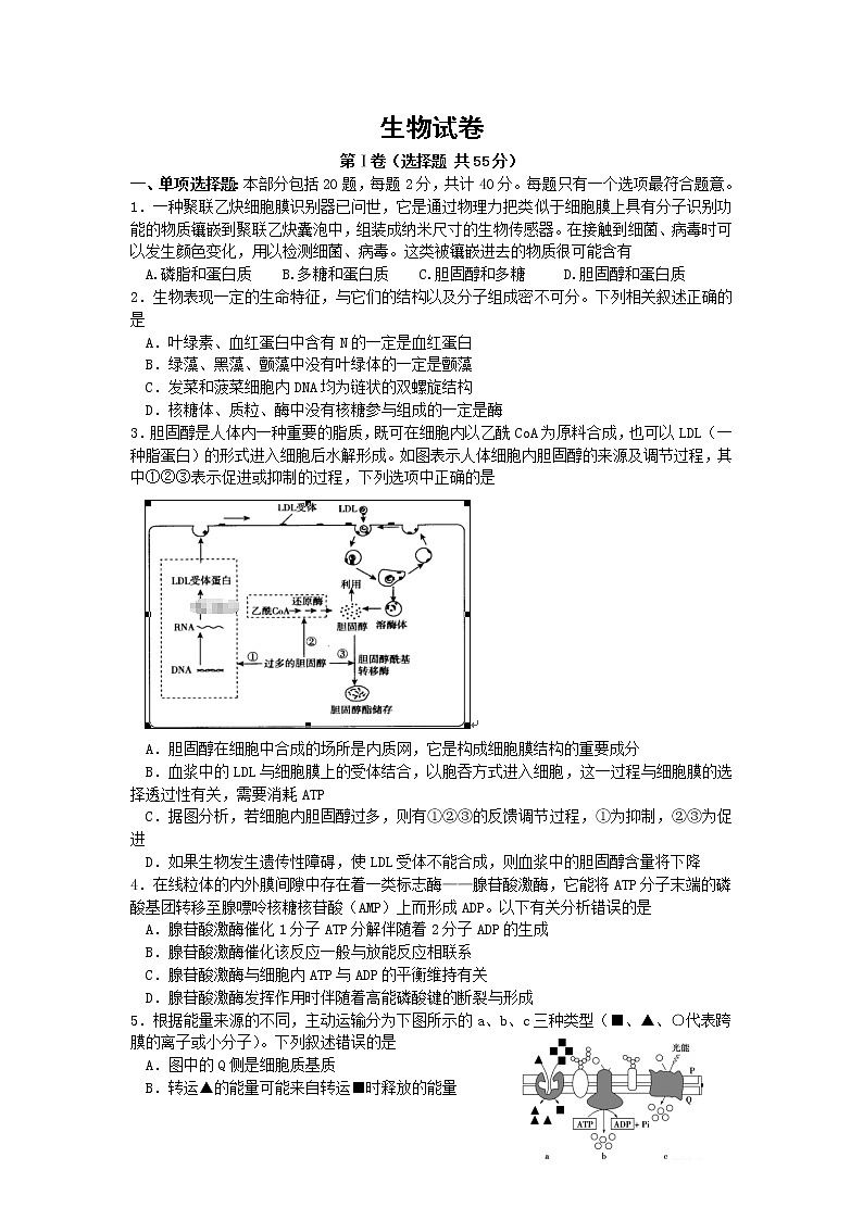 江苏省南京市2020届高三上学期第一段考试生物01