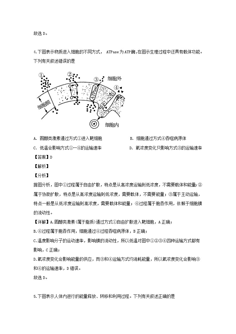 江苏省苏州市常熟中学2020届高三上学期调研生物试题03