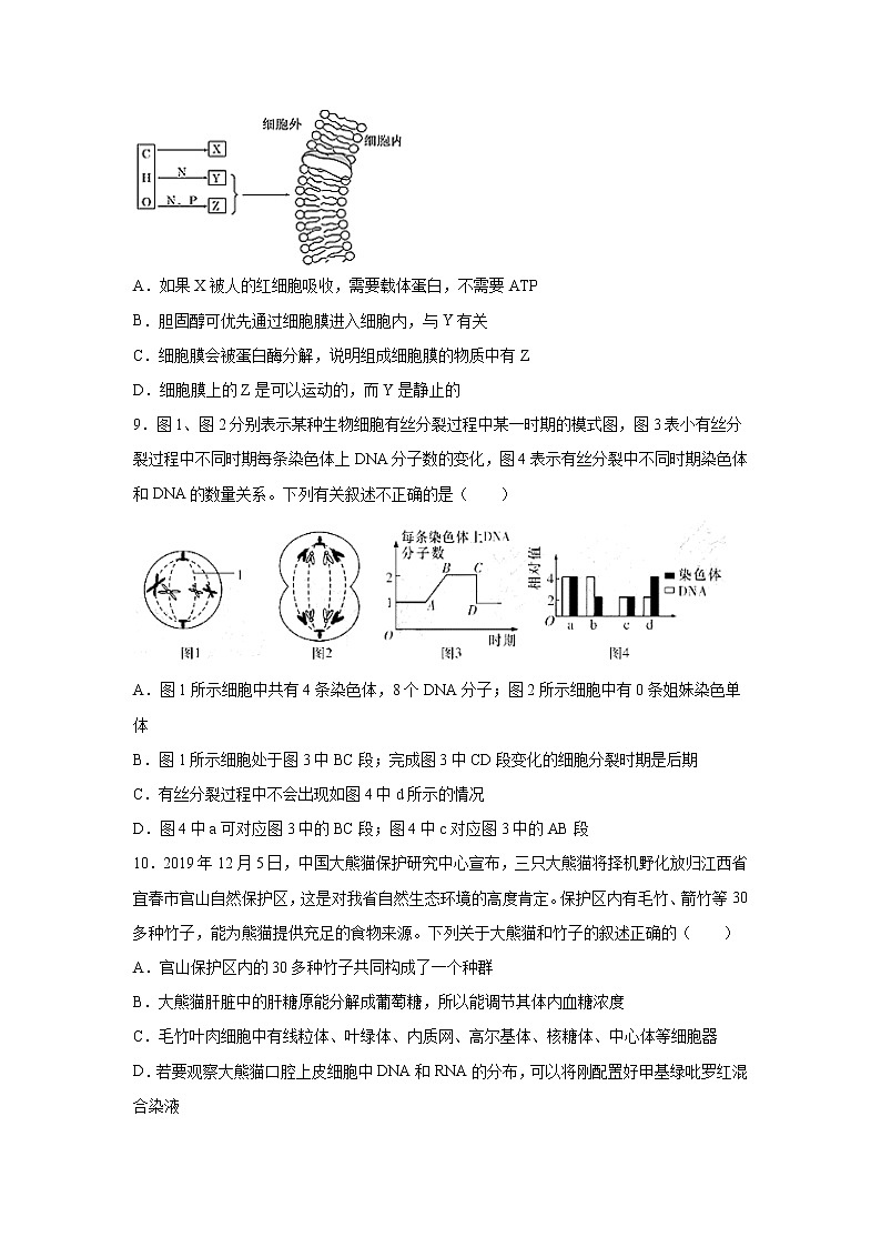 【生物】江西省赣州市会昌县会昌中学2019-2020学年高二下学期开学考试试题03