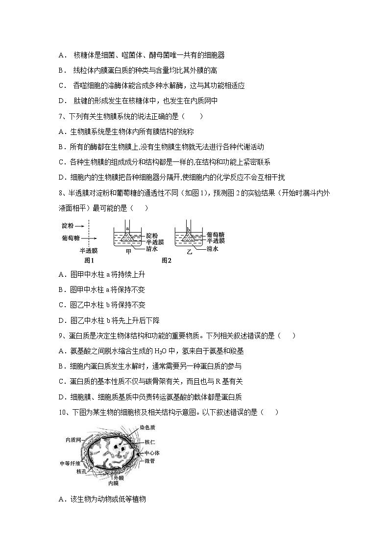 【生物】辽宁省铁岭市调兵山市第一高级中学2019-2020学年高二下学期第一次月考试题第2页