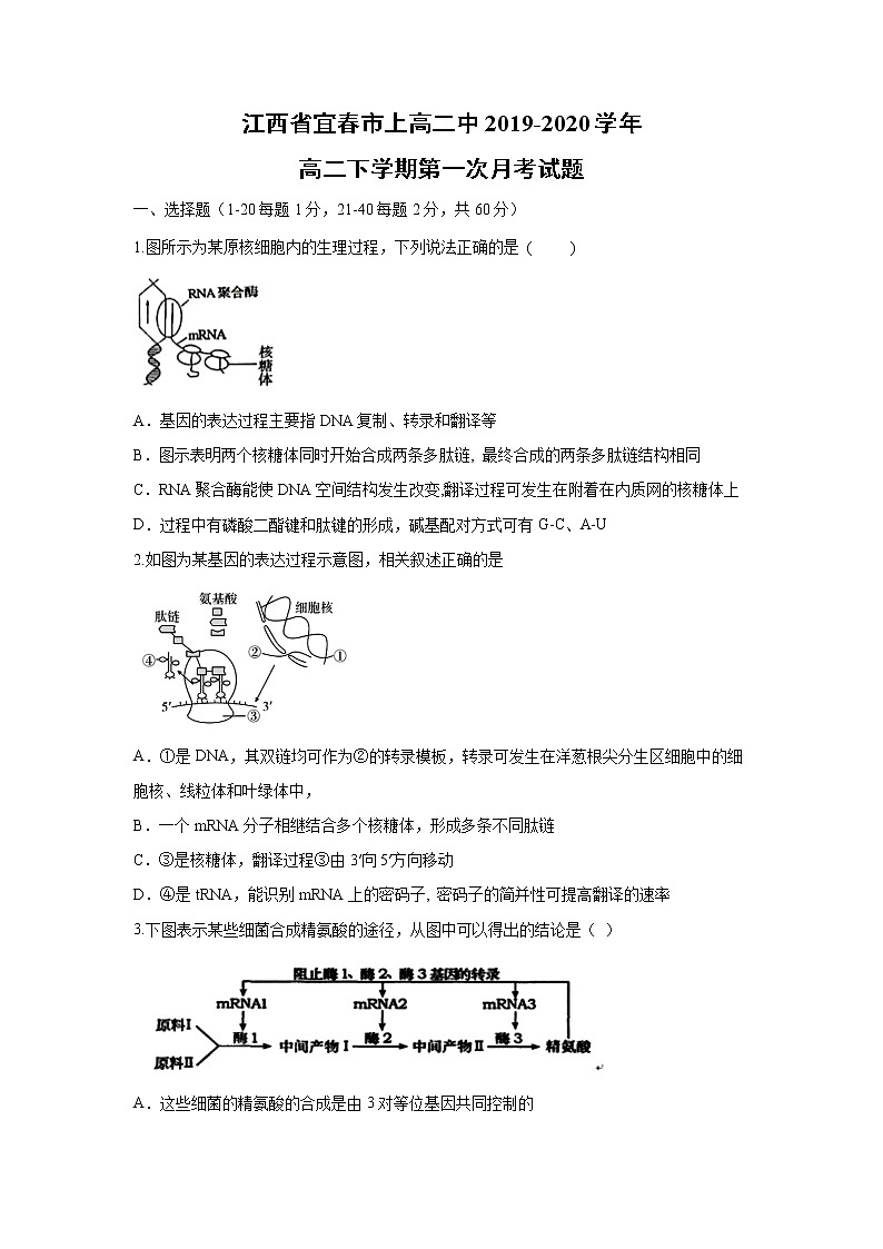 【生物】江西省宜春市上高二中2019-2020学年高二下学期第一次月考试题01