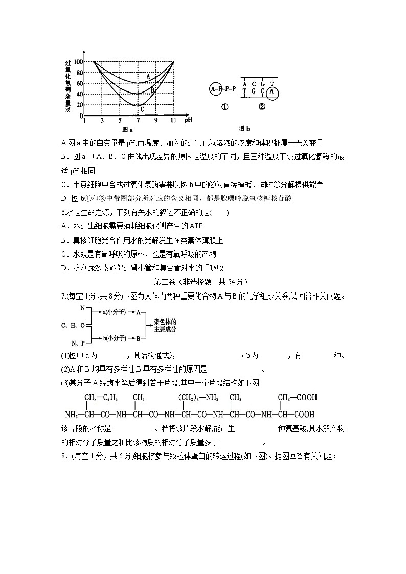 【生物】内蒙古集宁一中2019-2020学年高二下学期第二次月考试题02
