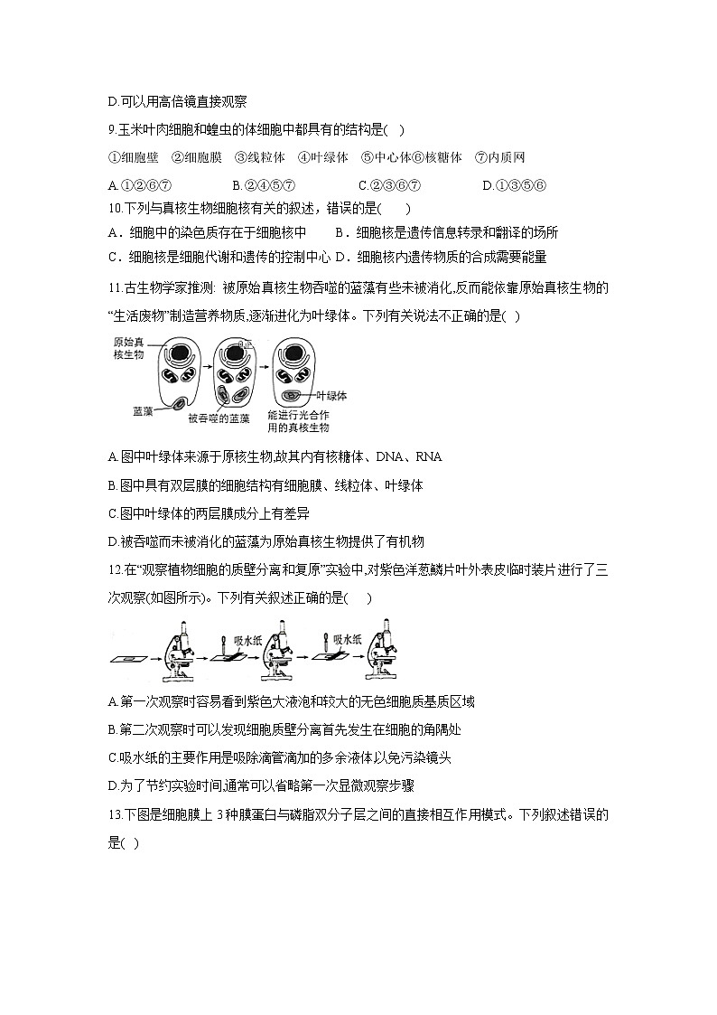 【生物】四川省成都外国语学校2019-2020学年高二下学期5月月考试题第3页