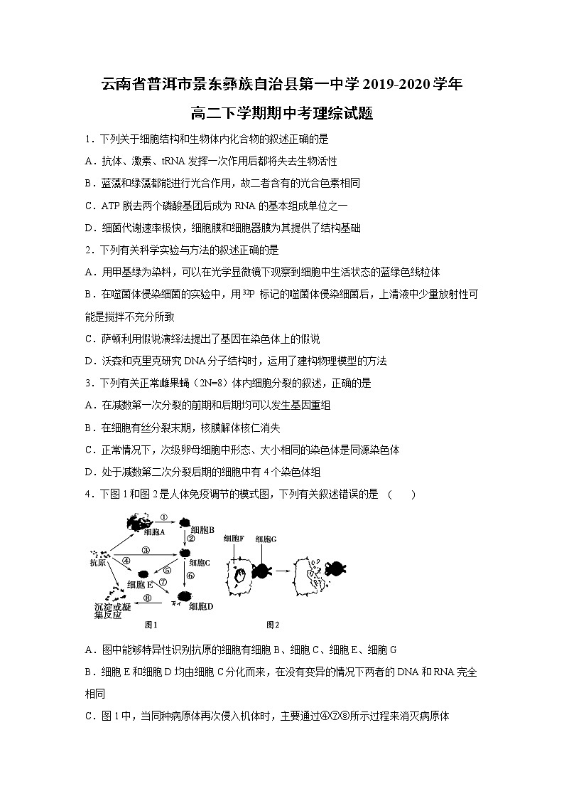 【生物】云南省普洱市景东彝族自治县第一中学2019-2020学年高二下学期期中考理综试题01
